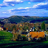 Blick ins Zittauer Gebirge